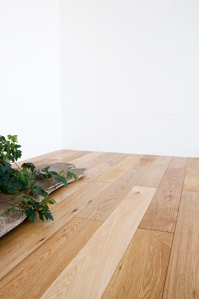 バーン リペア (98) 사진